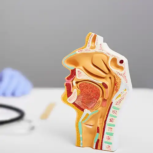 What Is Adenotonsillectomy?