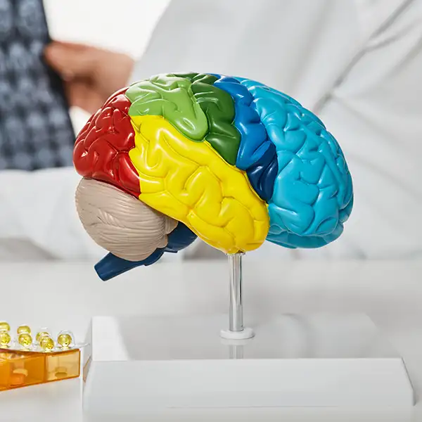 Skull Base Tumour Assessment